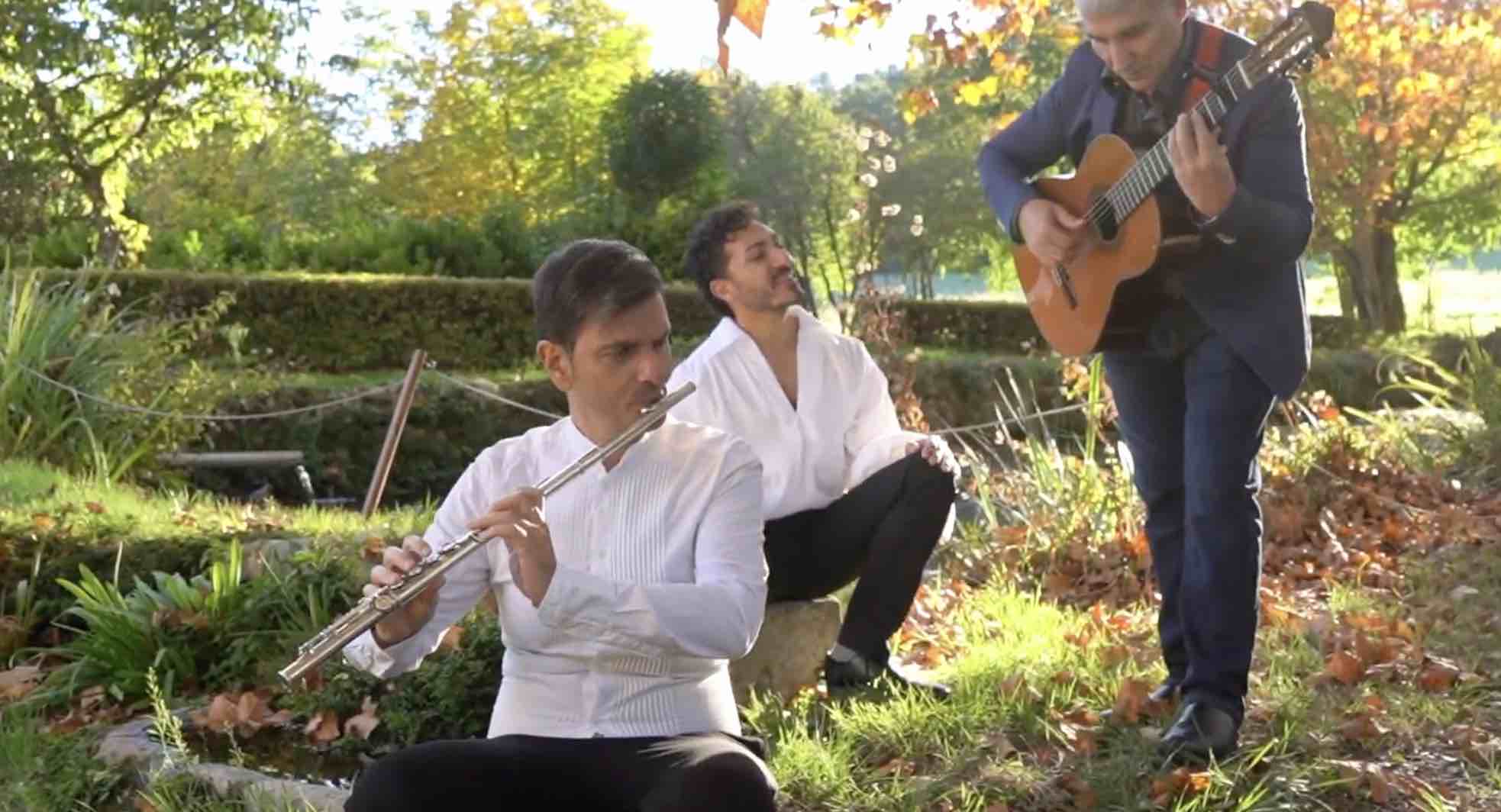 Featured image for “Antidotum Tarantulae Ensemble”